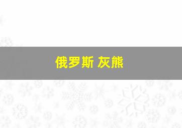 俄罗斯 灰熊